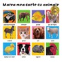Bebe invata. Marea mea carte cu animale