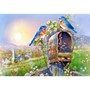 Пазл Касторланд Birds and Mailbox, 1000 эл.