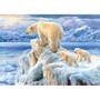 Пазл Касторланд Arctic Kingdom, 1000 эл.