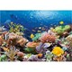 Пазл Касторланд Coral Reef Fishes, 1000 эл.