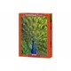 Пазл Касторланд Peacock, 1000 эл.