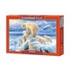 Пазл Касторланд Arctic Kingdom, 1000 эл.