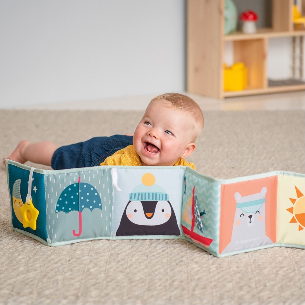 Текстильная книжка для малышей Taf Toys Полярный круг