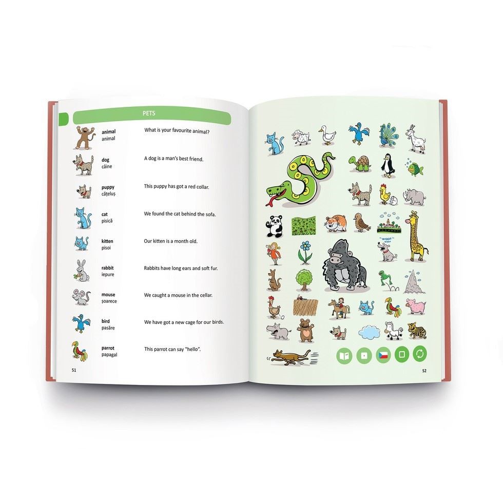 Carte interactiva Raspundel Istetel Dictionar roman-englez