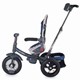 Трицикл Coccolle Corso фиолетовый