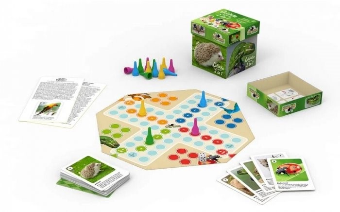 Joc de masa Noriel Games "Cutiuta cu activitati", 2 in 1