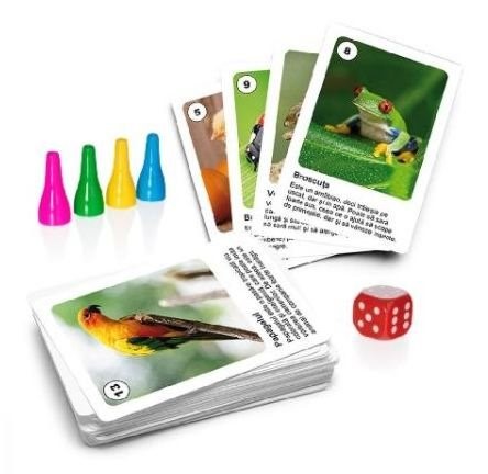 Joc de masa Noriel Games "Cutiuta cu activitati", 2 in 1
