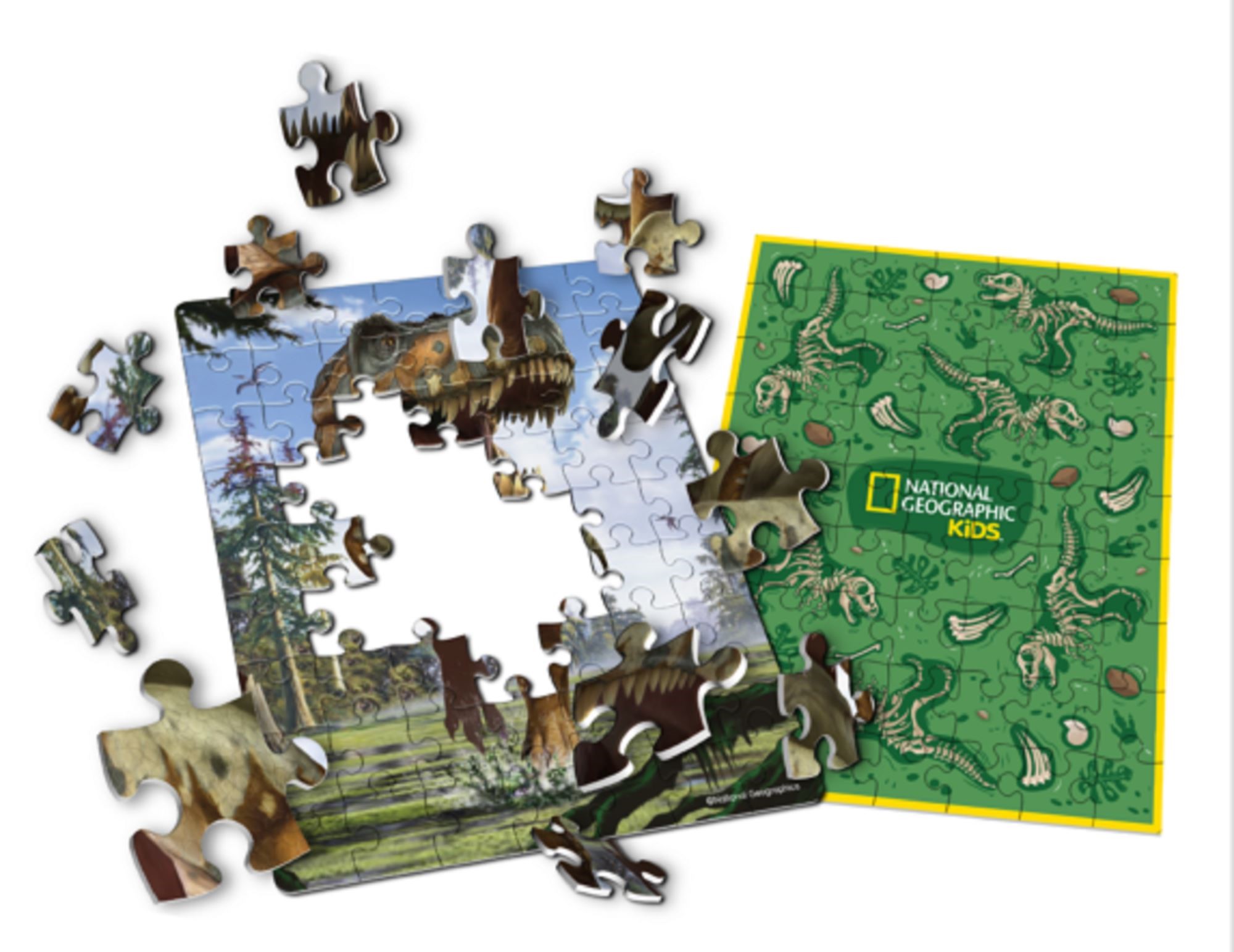 Puzzle 2D CubicFun Pterosaur