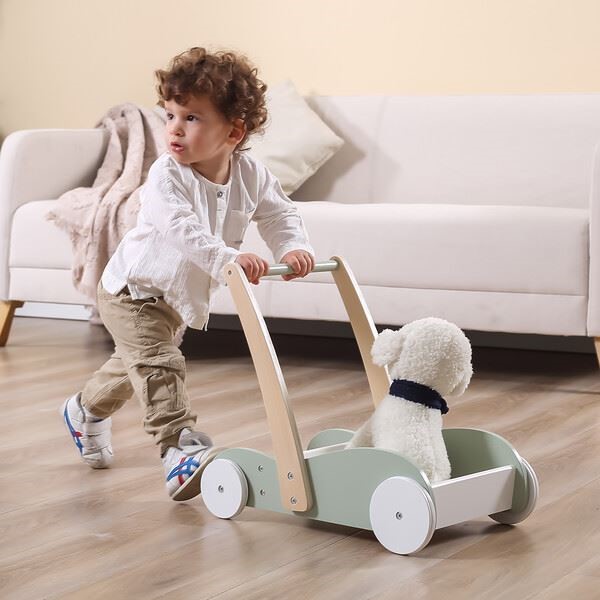 Ходунoк-каталка и коляска 2 в 1 Viga Toys PolarB
