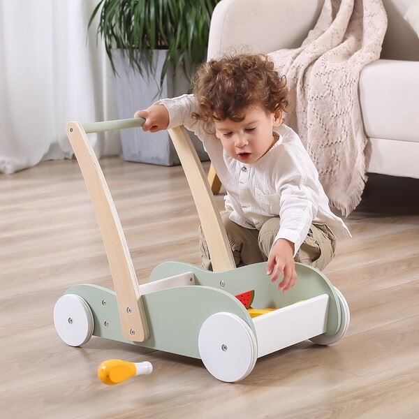Ходунoк-каталка и коляска 2 в 1 Viga Toys PolarB