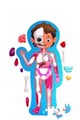 Puzzle Hape Corpul uman in cutie