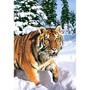 Пазл Касторланд Winter Syberian Tiger, 1000 эл.