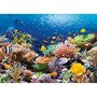 Пазл Касторланд Coral Reef Fishes, 1000 эл.